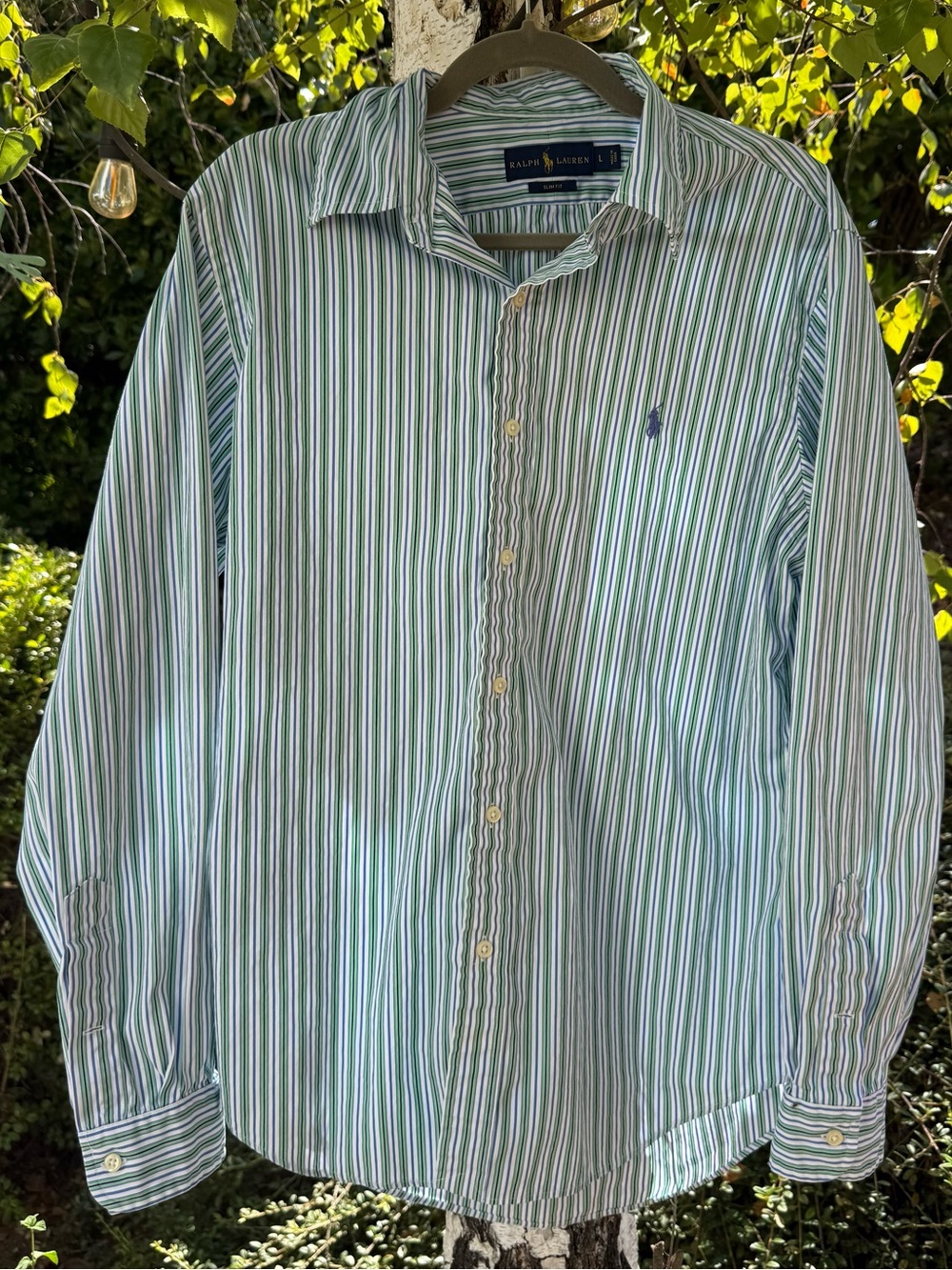 Ralph Lauren Slim Fit Men’s Large Striped Button Down Shirt Green Blue